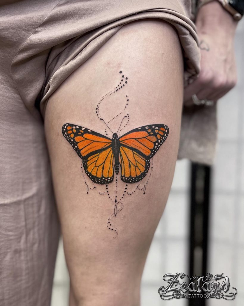 Beautiful Monarch butterfly