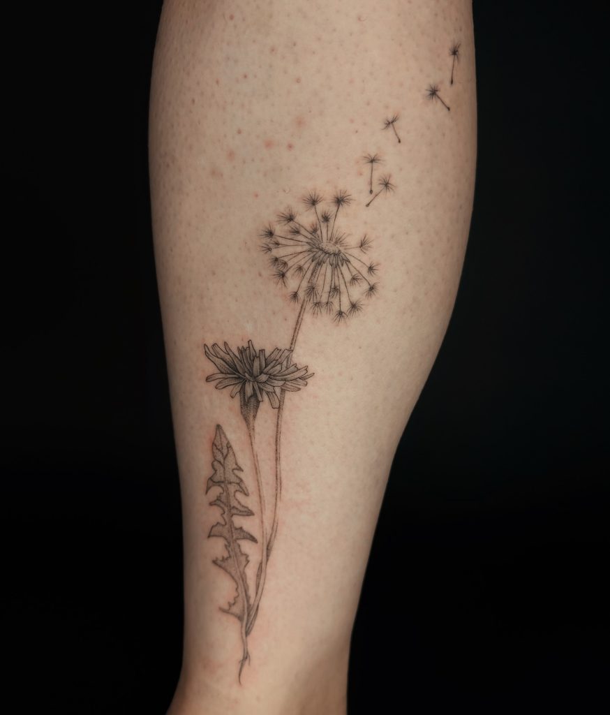 Realistic Dandelion Flower