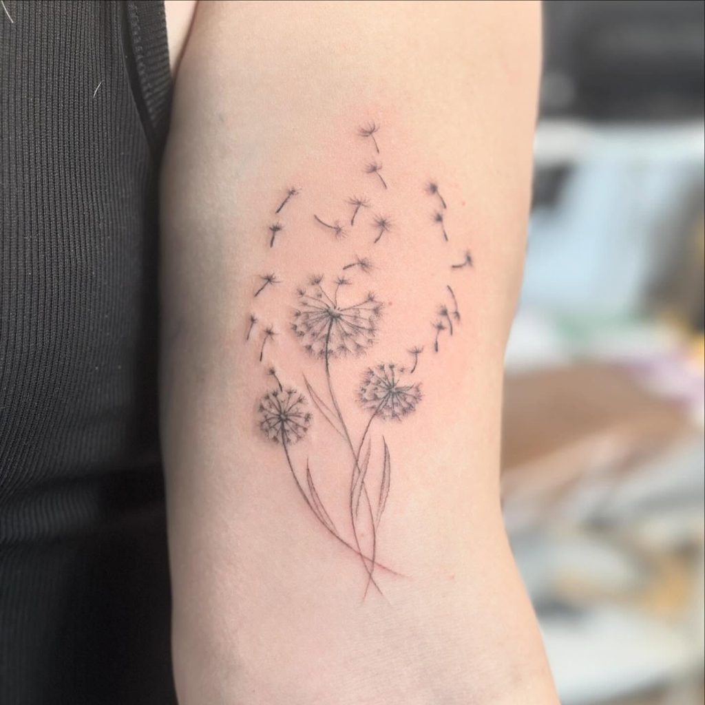 Multiple Bloom Dandelion