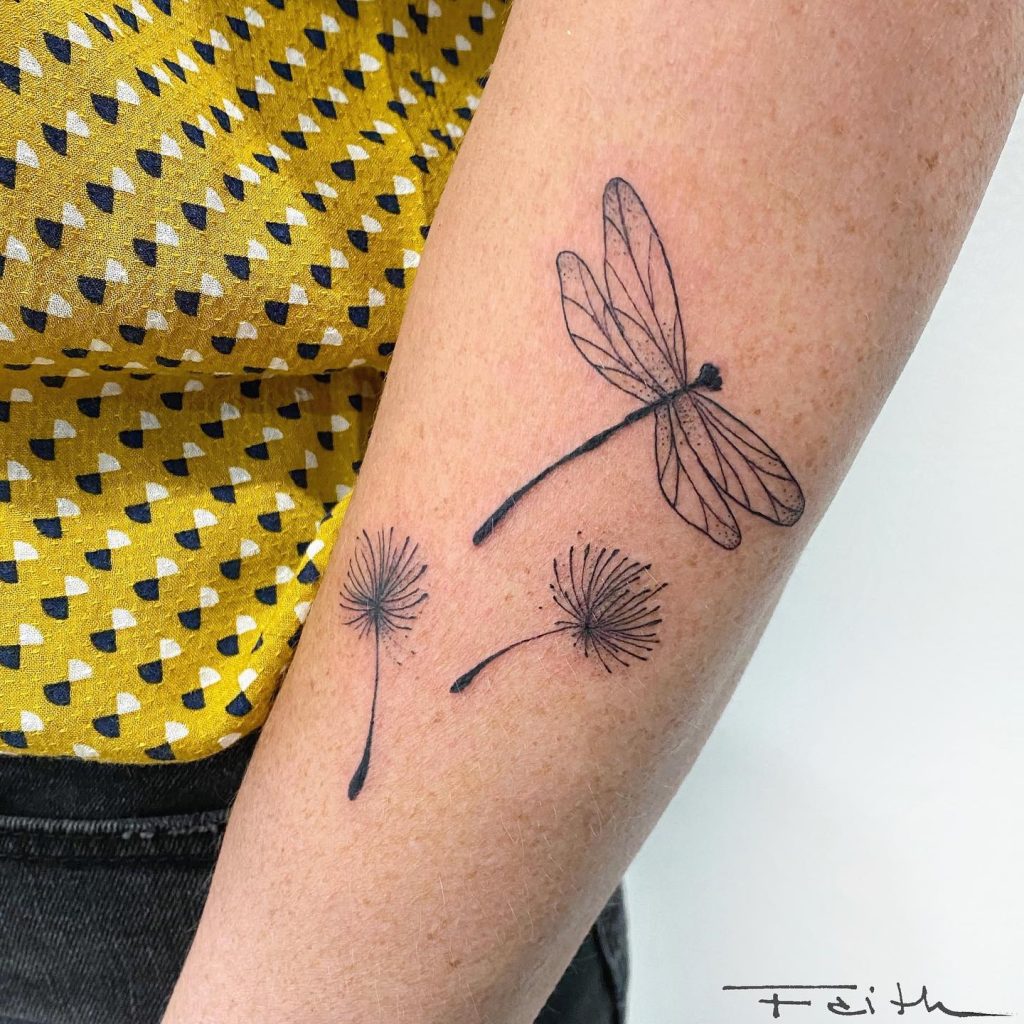 Dragonfly and Dandelion