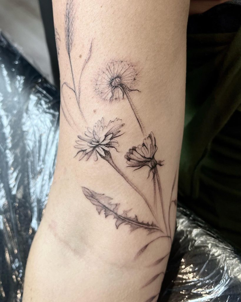 Botanical Dandelion