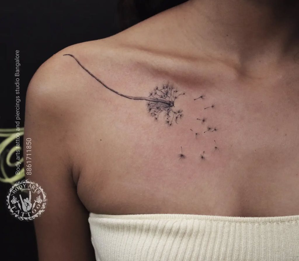 Collarbone Dandelion